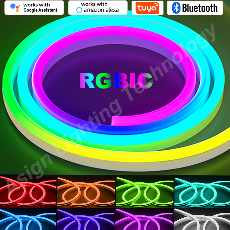 Smart Garden Led Lights - RGBIC LED Neon Strip 12V 96LEDs/M