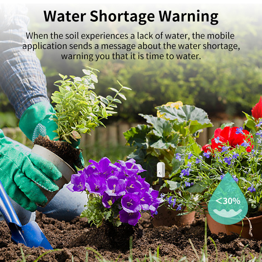 Smart ZigBee Soil Moisture Sen - огляд і ціна Smart Garden Sensors
