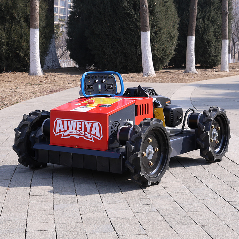 Customized Automatic Lawn Mowe - огляд і ціна Smart Garden Design