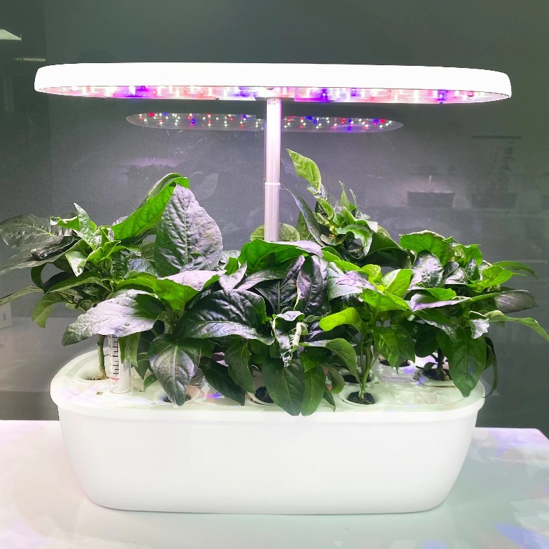 Smart Electronic Indoor Hydrop - огляд і ціна Smart Garden Design