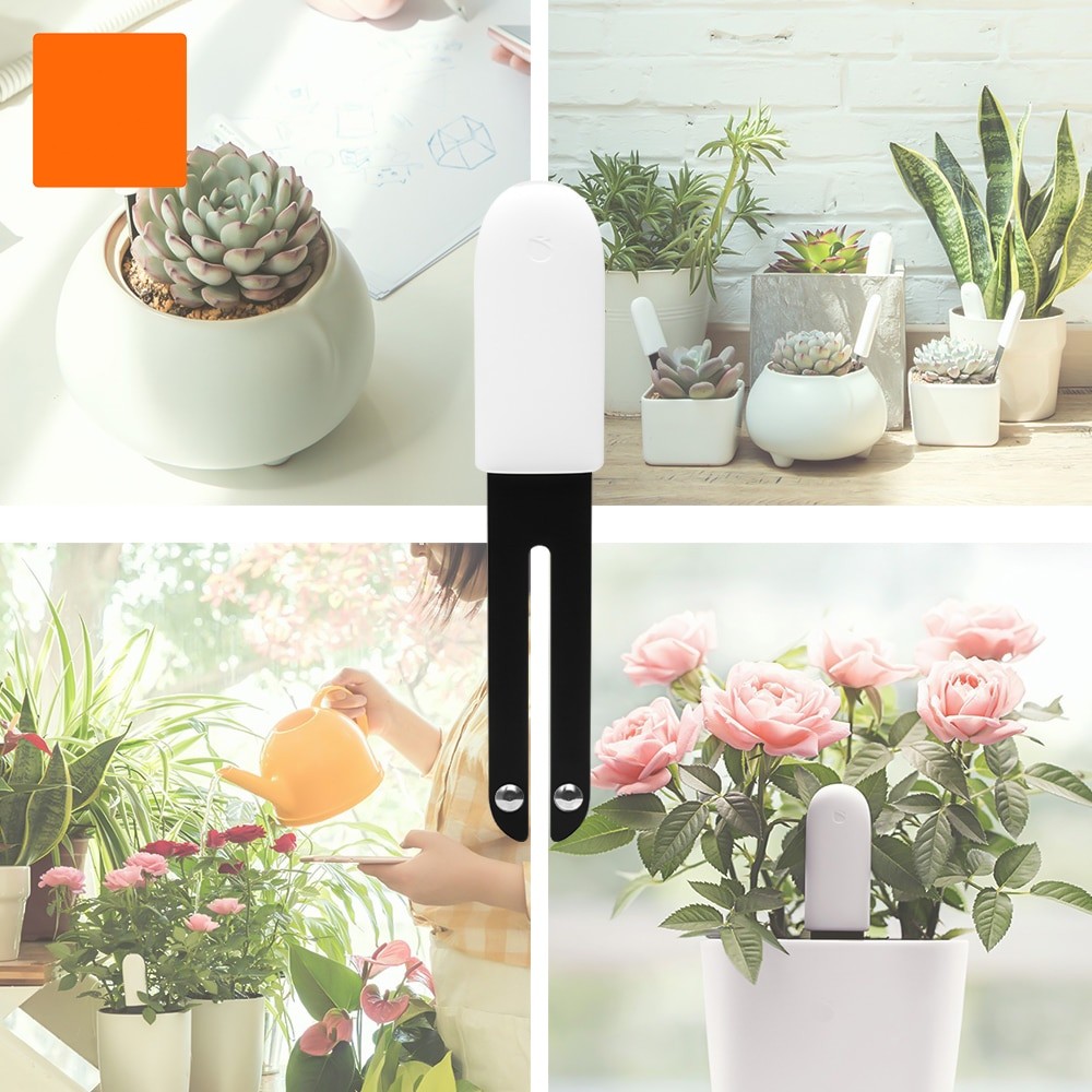 HHCC Smart Flower Flora Monito - огляд і ціна Smart Garden Xiaomi