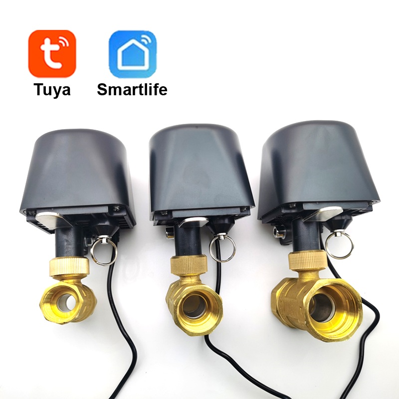 Tuya WiFi or Zigbee Water Valv - огляд і ціна Smart Garden Sensors